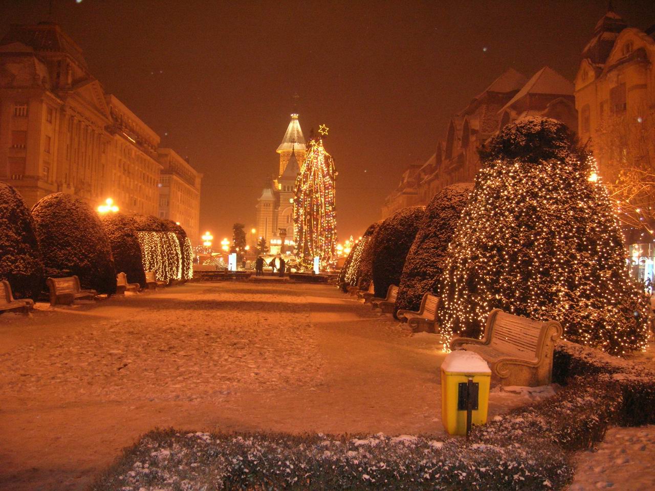 Timisoara